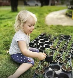 Prodaja sezonskega sadja in zelenjave novo mesto in okolica