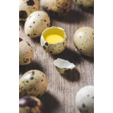 DAMJAN MIKLOŽIČ - NOSILEC DOPOLNILNE DEJAVNOSTI NA KMETIJI