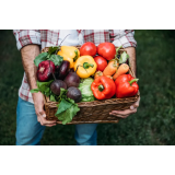 TUTTI-FRUTTI, IDA MUJANOVIĆ S.P.