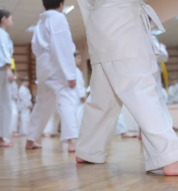 Inkluzivni judo Murska Sobota