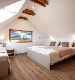 Apartmaji za 5 ali 6 oseb bohinjska bistrica