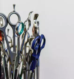 Pasji salon ziri gorenjska