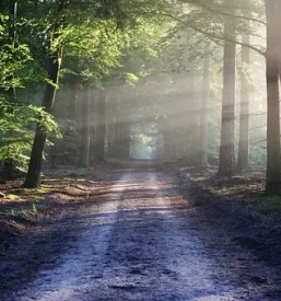 Spravilo lesa Kočevje