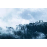 Robert Grebenar s.p.