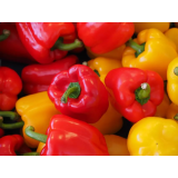 JANEZ PLEŠKO - NOSILEC DOPOLNILNE DEJAVNOSTI NA KMETIJI