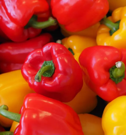 Prodaja sezonske zelenjave dolenjska