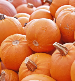 Prodaja sezonske zelenjave dolenjska