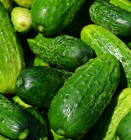 Prodaja sezonske zelenjave in sadje osrednja slovenija