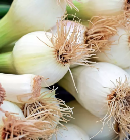 Prodaja sezonske zelenjave in sadje osrednja slovenija
