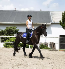 Sola jahanja maribor