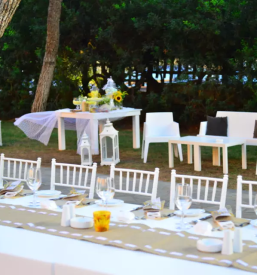 Organizacija porok slovenija