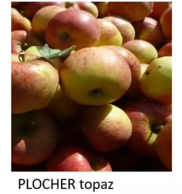 Posrednistvo in zastopstvo pri prodaji pospesevalcev za sonaravno kmetovanje po terenu