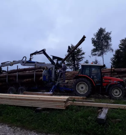 Sečnja v urbanem okolju