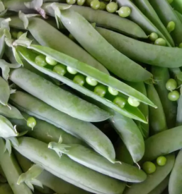 Sezonska zelenjava savinjska