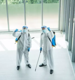 Ugodna dezinfekcija dezinsekcija deratizacija slovenija