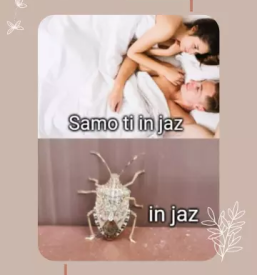 Ugodna dezinfekcija, dezinsekcija in deratizacija slovenija