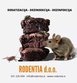 Ugodna dezinfekcija, dezinsekcija in deratizacija slovenija