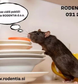 Ugodna dezinfekcija, dezinsekcija in deratizacija slovenija