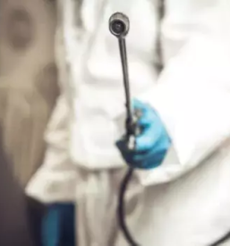 Ugodna dezinfekcija in dezinsekcija slovenija