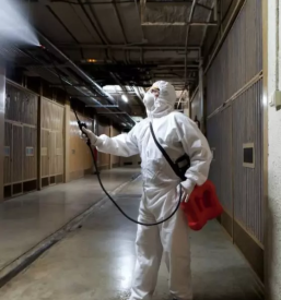 Ugodna dezinfekcija in dezinsekcija slovenija