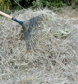 Urejanje in vzdrzevanje zelenih povrsin in okolice savinjska