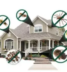 Ugodna deratizacija slovenija