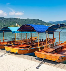 Affordable guided tours of bled
