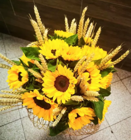 Prodaja cvetja Izola