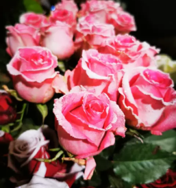 Žalni aranžmaji Izola