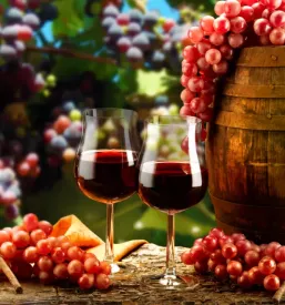 Društvo vinogradnikov Raka