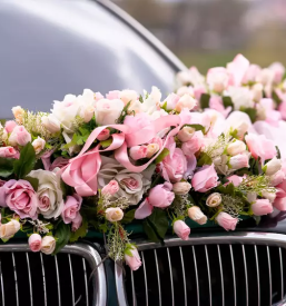 Vrtni center in cvetlicarna brezice