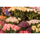 CVETLIČARNA "COLARIČ", PETER COLARIČ S.P.