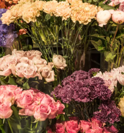 Vrtni center in cvetlicarna brezice