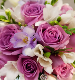 Vrtni center in cvetlicarna novo mesto