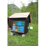 Čebelarsko društvo Kamnik