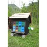 Čebelarsko društvo Kamnik