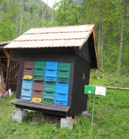 Čebelarsko društvo Kamnik, Slovenija