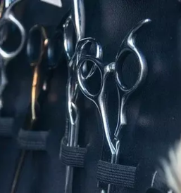 Dober frizerski salon odranci