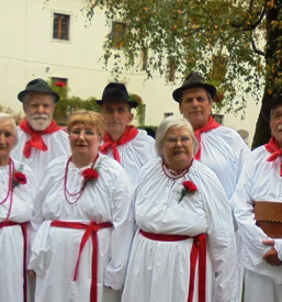 oskrba starejsih občanov metlika bela krajina