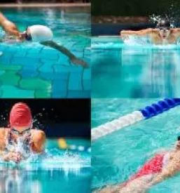 Poceni plavalni tečaji Nova Gorica, Goriška regija