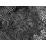 ŽAN MIHAILOVSKI - NOSILEC DOPOLNILNE DEJAVNOSTI NA KMETIJI