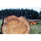 STANKO VETRIH - NOSILEC DOPOLNILNE DEJAVNOSTI NA KMETIJI