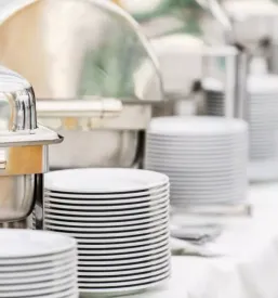 Catering za zasebne in poslovne dogodke Dolenjska