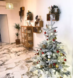 Dober pasji salon hoce maribor okolica