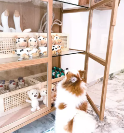 Dober pasji salon hoce maribor okolica