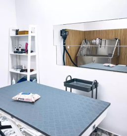 Dober pasji salon hoce maribor okolica