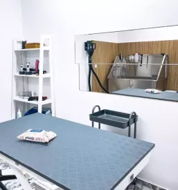 Dober pasji salon hoce maribor okolica