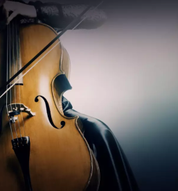 Najboljša glasbena šola Tržič