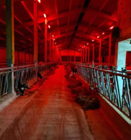 Izvedba klasicnih in pametnih elektroinstalacij stajerska