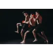 Klub borilnih veščin kickoxing in Tae Kwon-Do Izola
